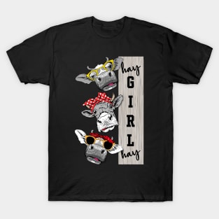 Heifer Hay Girl Hay Crazy Cow lovers T-Shirt